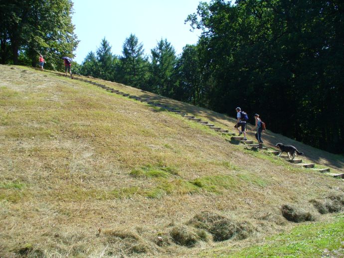 Grabhügel  'Hohmichele'.