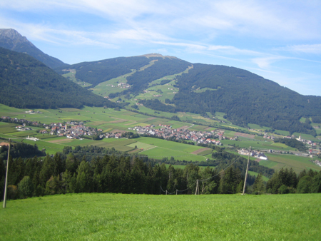 Blick auf Niederrasen von oben 