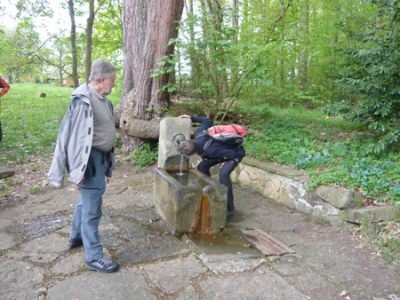 Durstlöschen am Steudachbrunnen