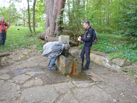 Durstlöschen am Steudachbrunnen