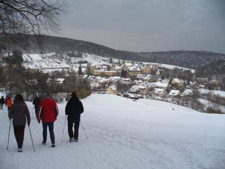 Ziegelberg Blick auf Bebenhausen