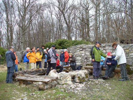 Ruine Greifenstein 