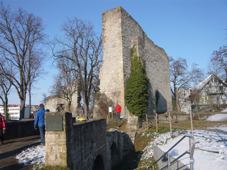 Burgruine Hofen