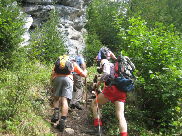 Bergauf zur Steiner Hochalm.