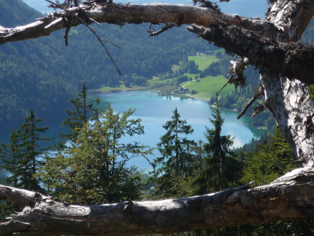 Blick von oben auf den Hintersteiner See.