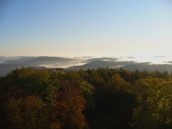 Blick vom Robergturm