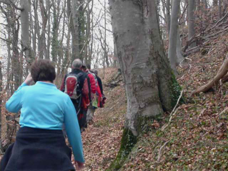 Stetig bergauf zum Stöffelberg