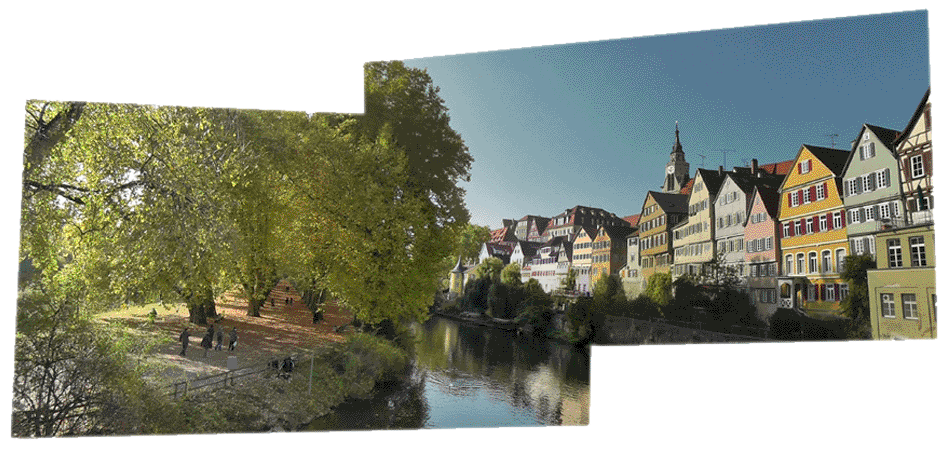 Die Neckarfront in Tbingen.
