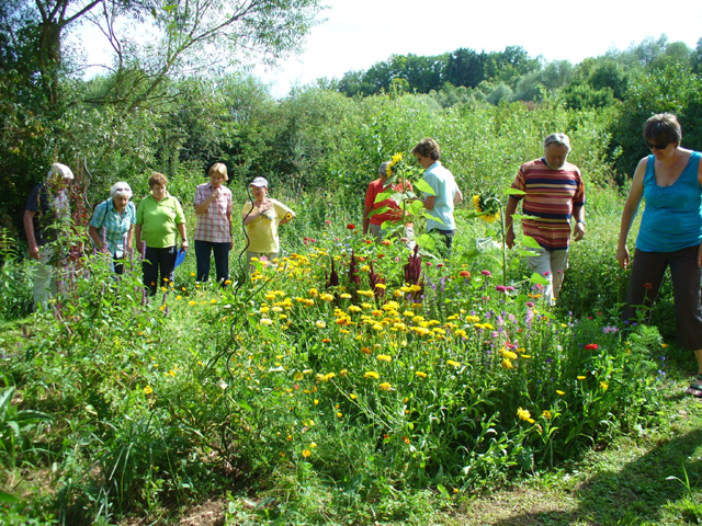 Beim Blumen- und Duftkräutergarten