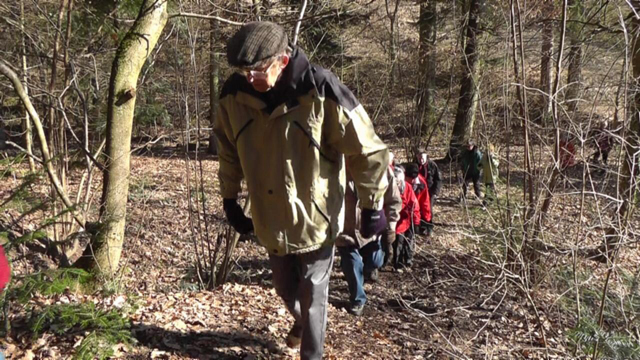 Bergauf im Wald.