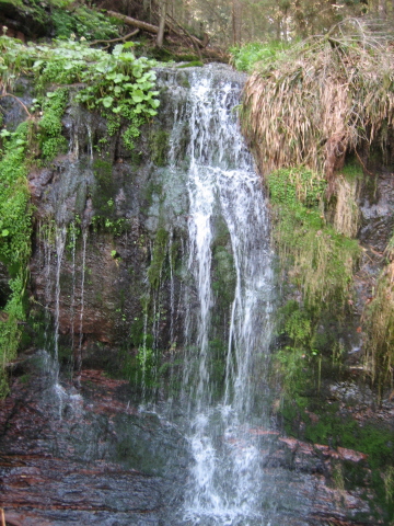 Jetzt rauscht der Wasserfall