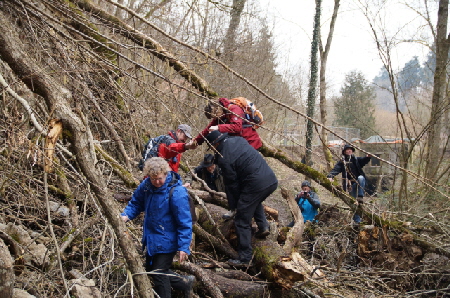 Hindernisparcours inmitten der Klamm