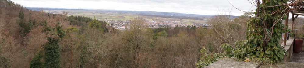 Ausblick von Hohenentringen nach Entringen