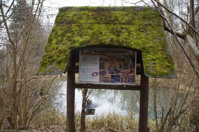 Feuchtgebiet Bachwiesen