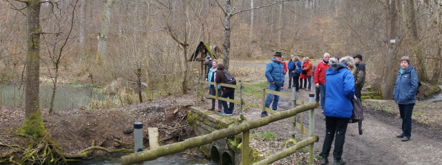 Feuchtgebiet Bachwiesen